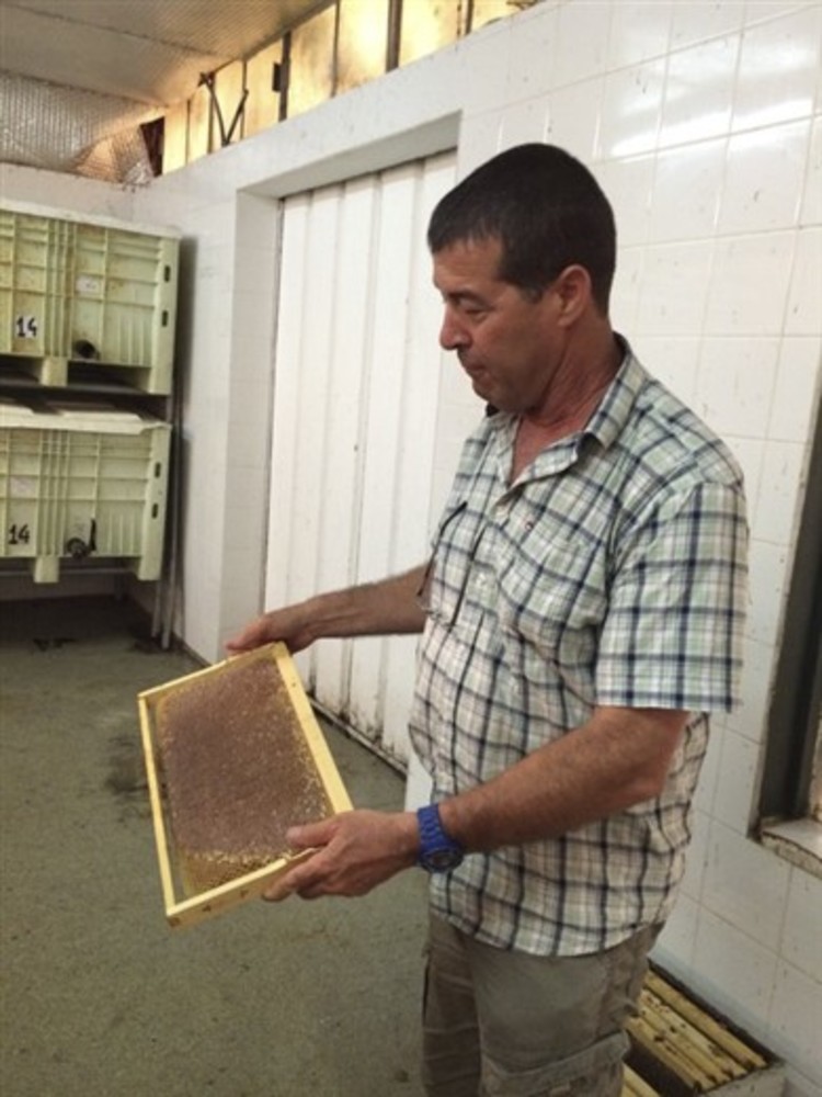 Yuval Lin, owner of Lin’s Bee Farm in central Israel.